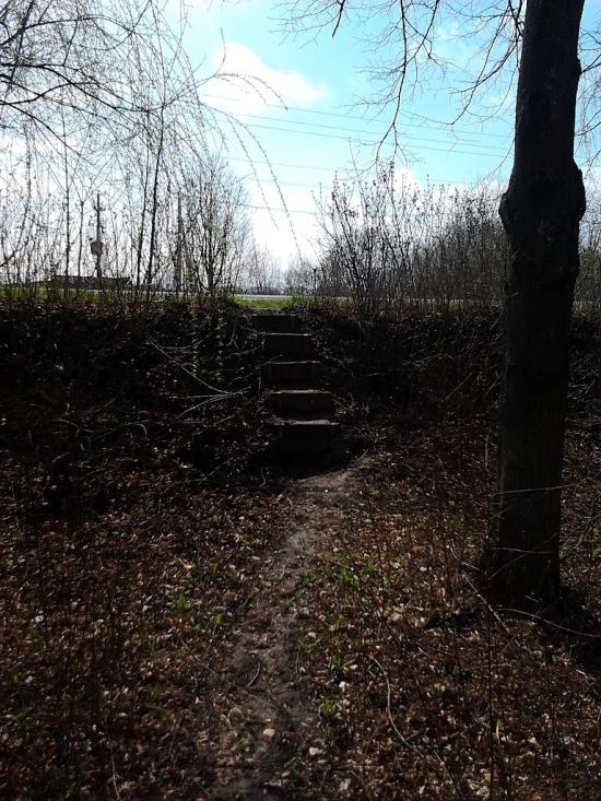 Глеваха з panoramio.com - Глеваха
