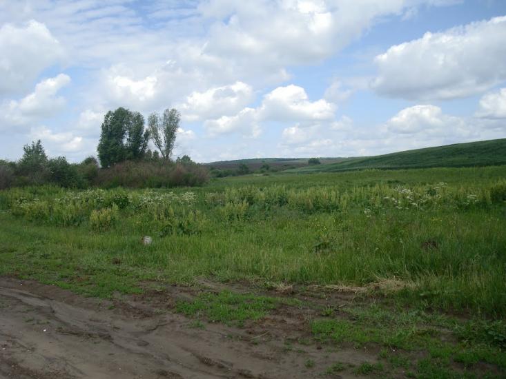 Давидківці з panoramio.com - Давыдковцы