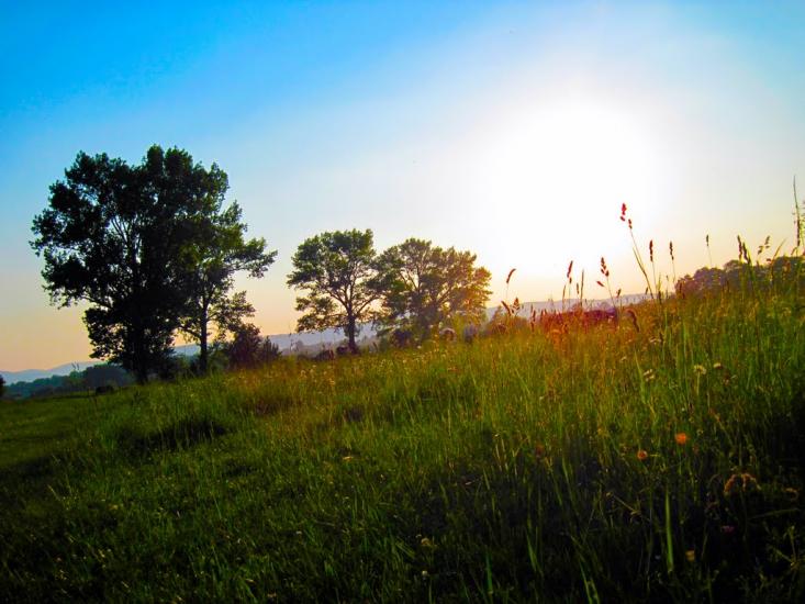 Любинці з panoramio.com - Любинці