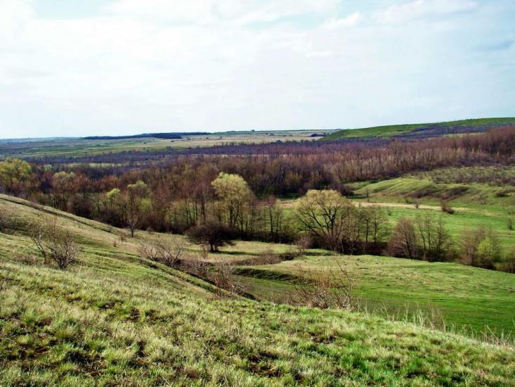 Картушине з panoramio.com - Картушино