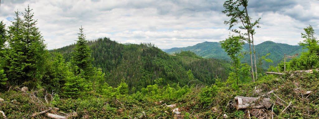 Тухля з panoramio.com - Tukhlya
