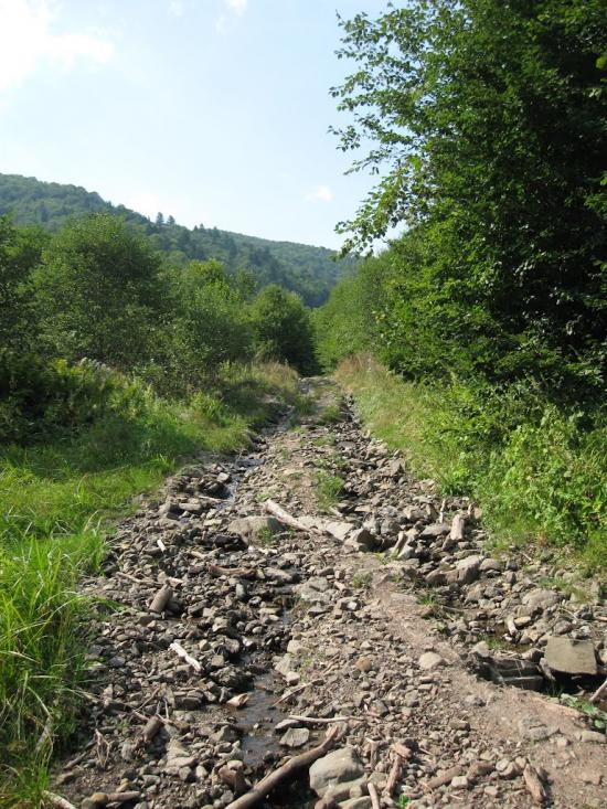 Сопки з panoramio.com - Сопки