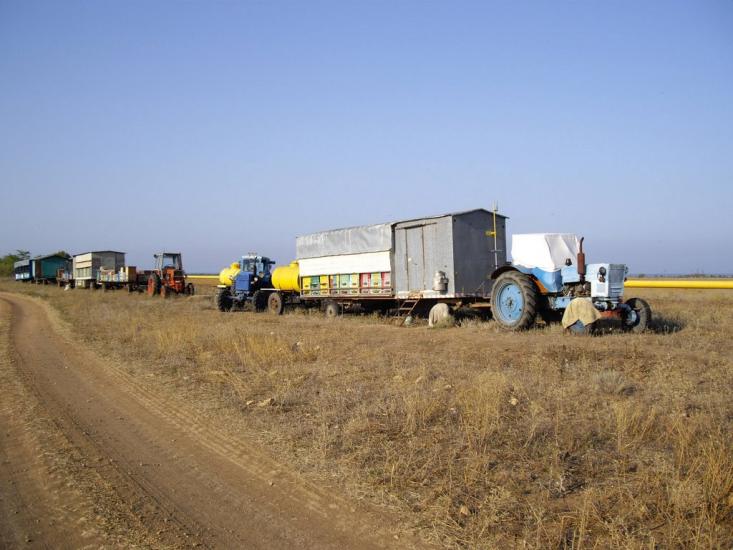 Вітине з panoramio.com - Витино