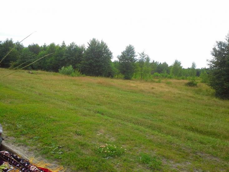 Сошники з panoramio.com - Сошники