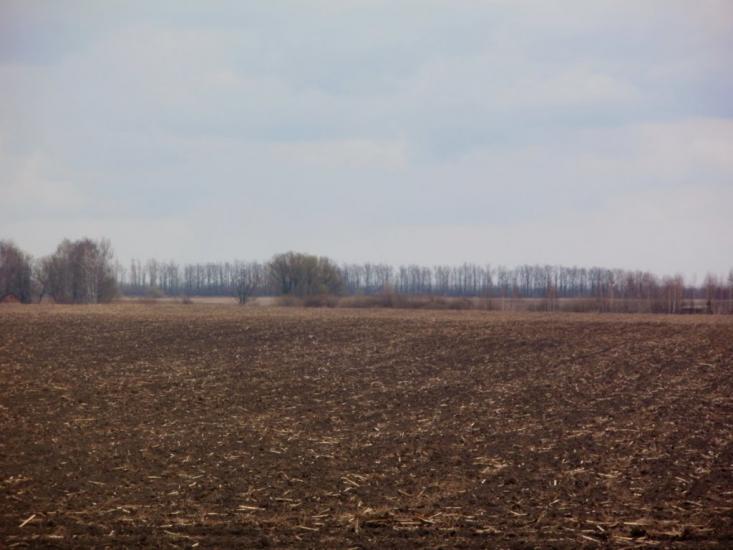 Краснопілка з panoramio.com - Краснополка