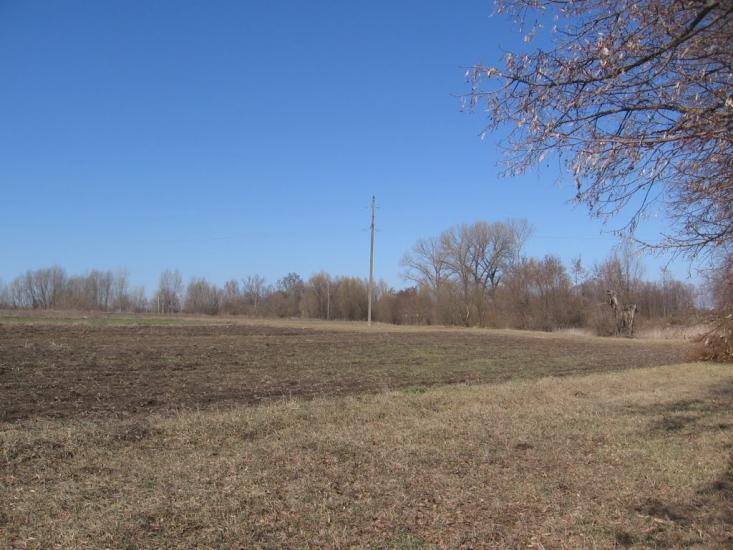 Петрушин з panoramio.com - Петрушин