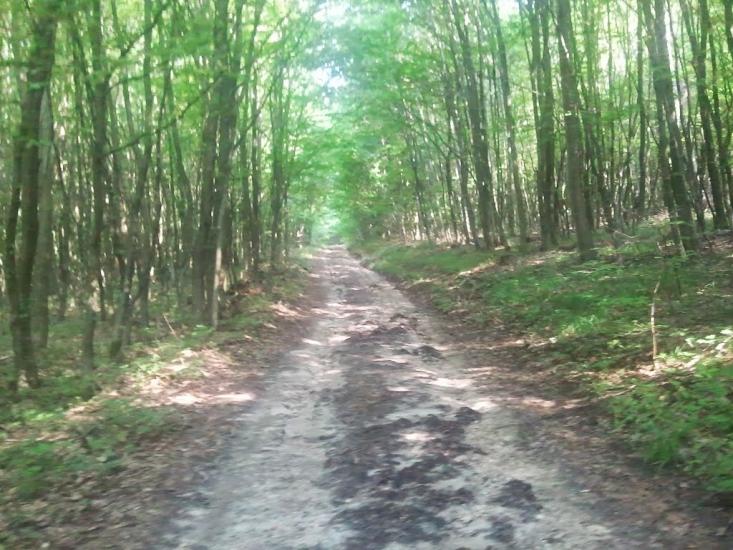 Слов'ятин з panoramio.com - Slovyatyn