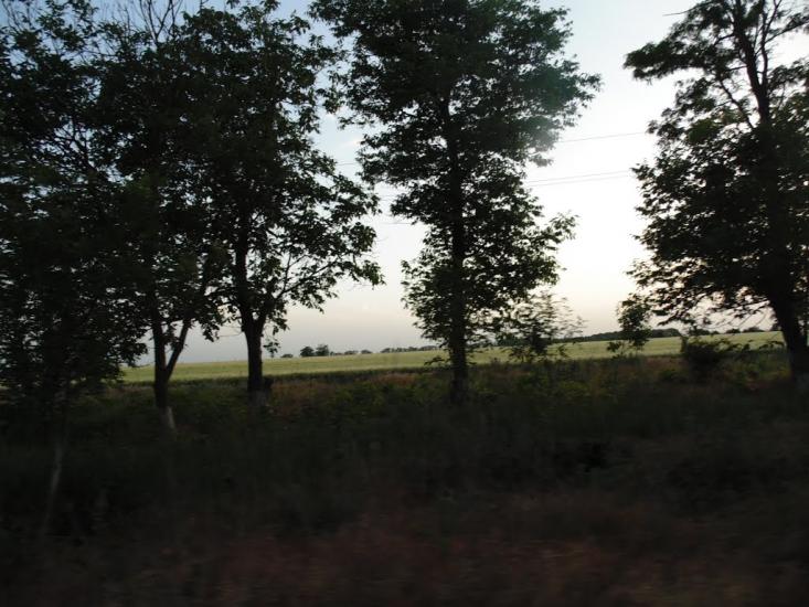 Снігурівка з panoramio.com - Снигиревка