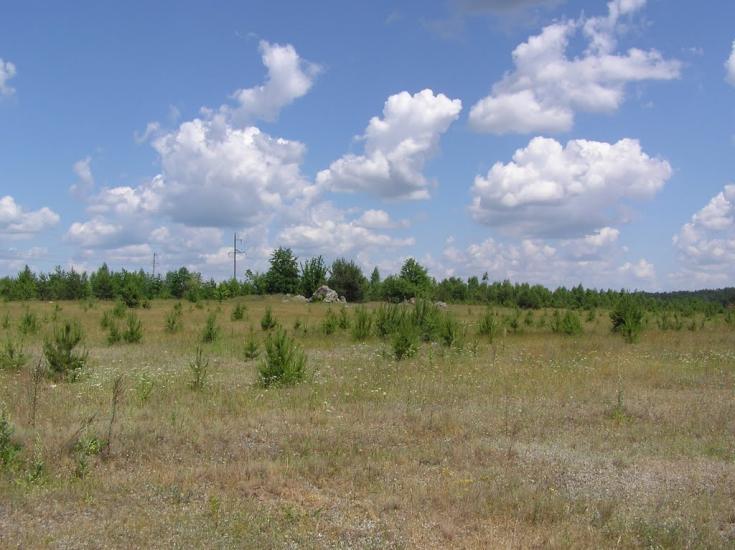 Ушиця з panoramio.com - Ушица