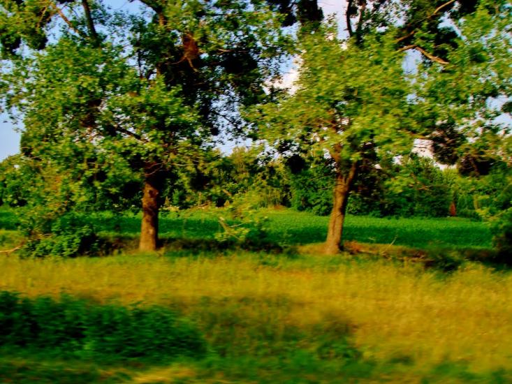 Медвин з panoramio.com - Медвин