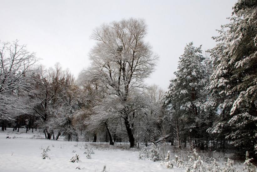 Геронимівка з panoramio.com - Geronymivka