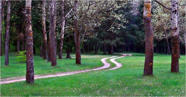 Озерне з panoramio.com - Озерне