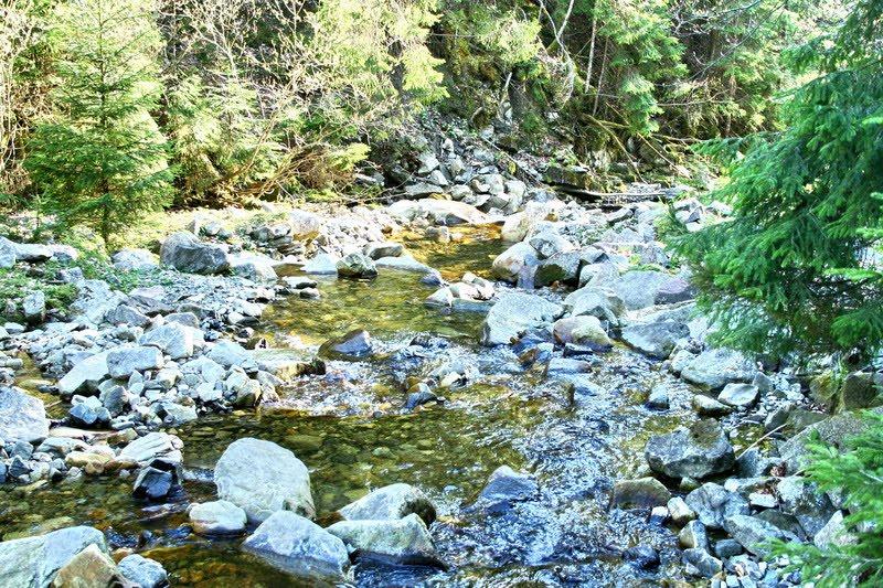 Максимець з panoramio.com - Максимець