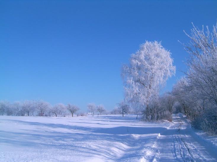Суховоля з panoramio.com - Sukhovolya