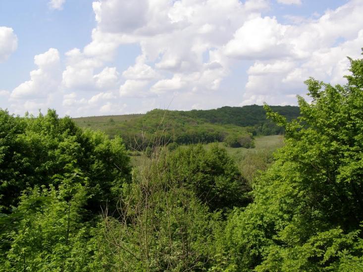 Черкасівка з panoramio.com - Cherkasivka