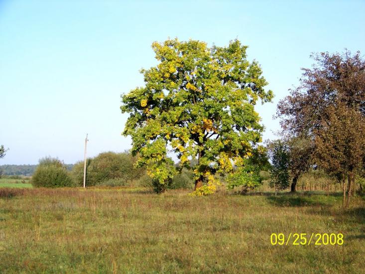 Пулемець з panoramio.com - Pulemets