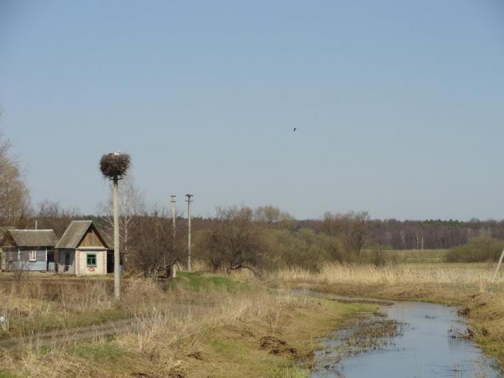 Сокиричі з panoramio.com - Сокиричі