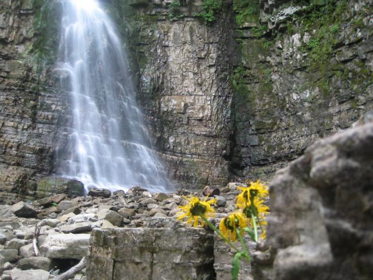 Кричка з panoramio.com - Кричка