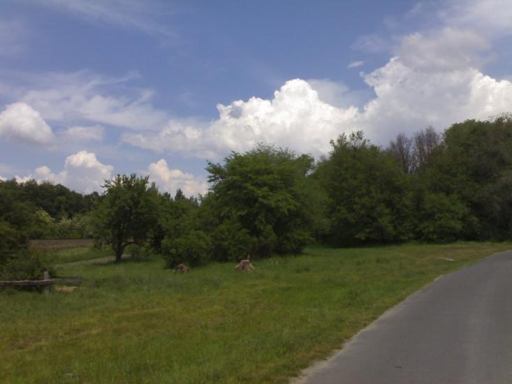 Рудня з panoramio.com - Рудня