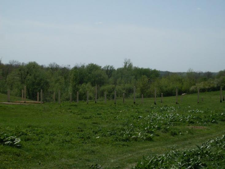 Тишківська Слобода з panoramio.com - Тишківська Слобода