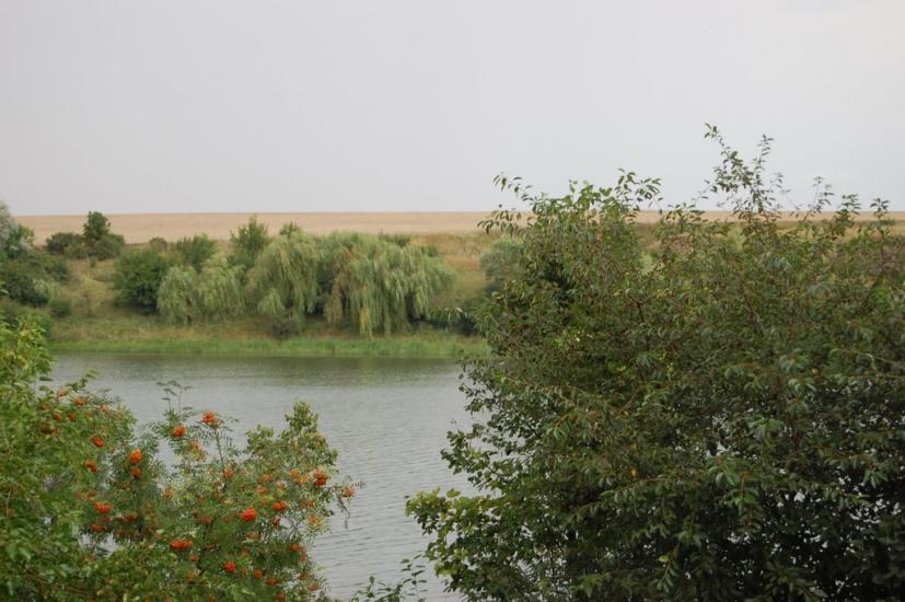 Нова Павлівка з panoramio.com - Нова Павлівка