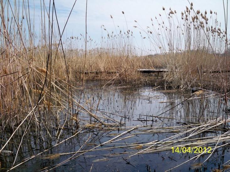 Олексіївка з panoramio.com - Алексеевка