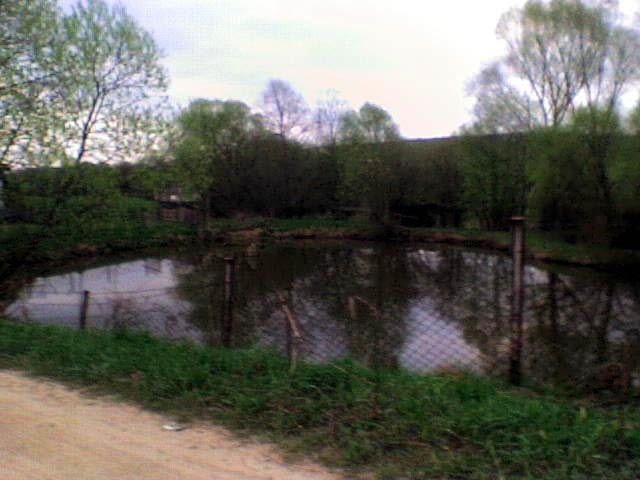 Їжівці з panoramio.com - Yizhivtsi