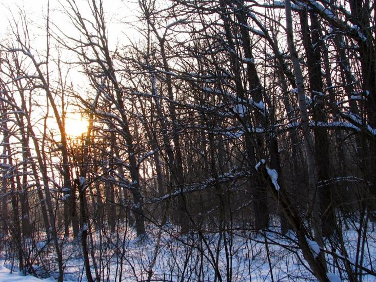 Волиця з panoramio.com - Волица