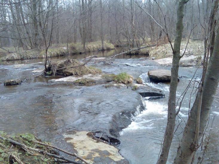 Мелені з panoramio.com - Meleni