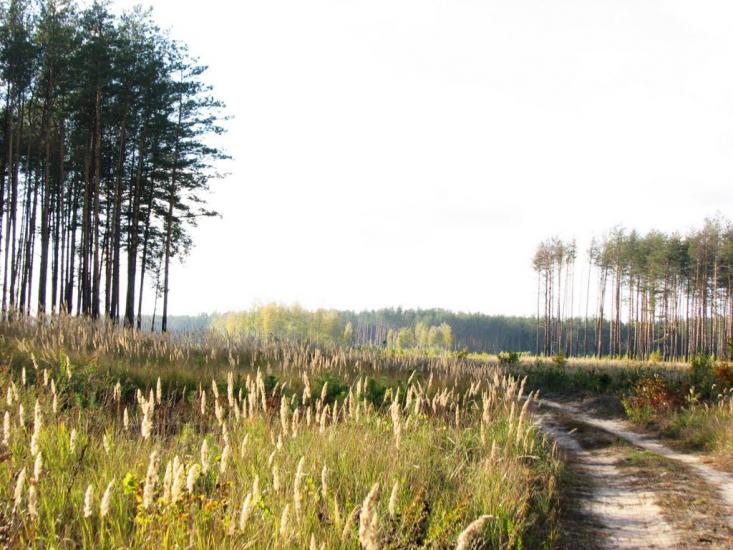 Славутич з panoramio.com - Славутич
