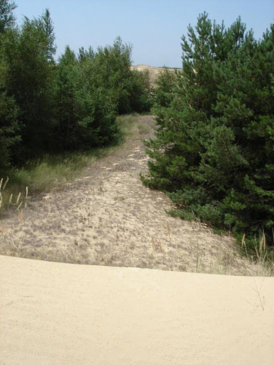 Пролетарка з panoramio.com - Пролетарка