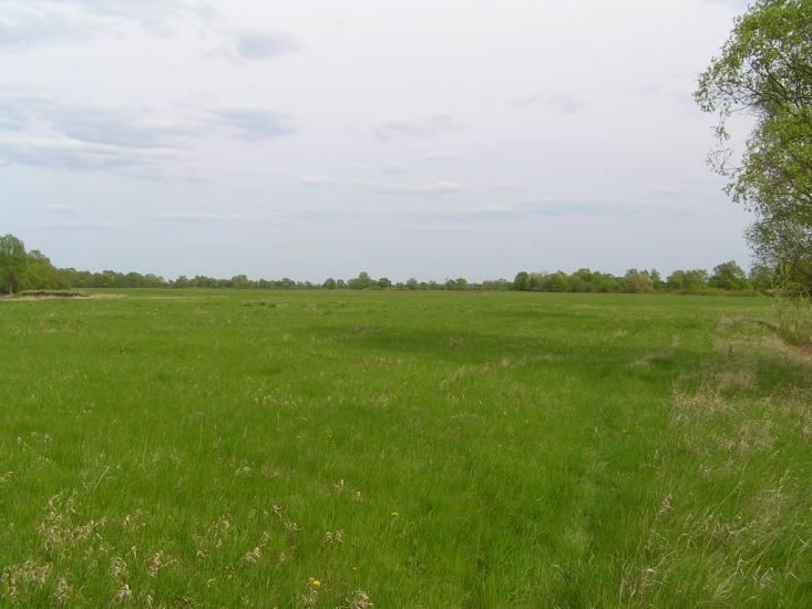 Новомутин з panoramio.com - Новомутин