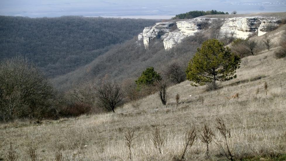 Партизанське з panoramio.com - Партизанское