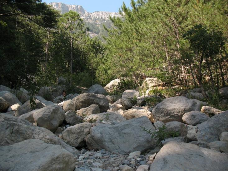 Відрадне з panoramio.com - Отрадное