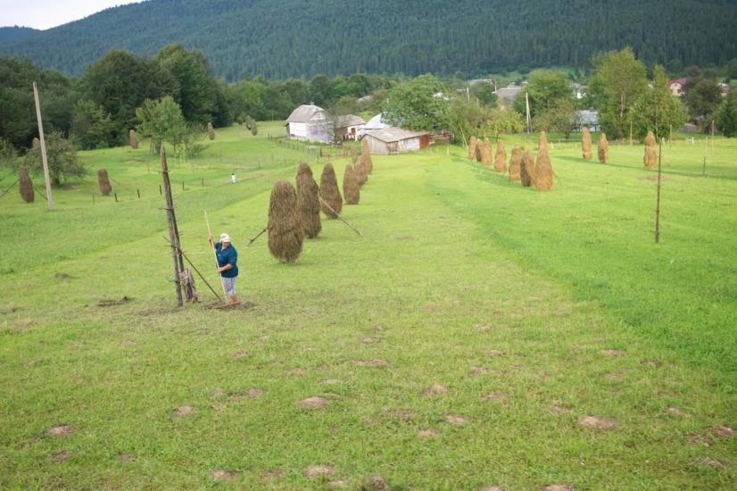 Кричка з panoramio.com - Кричка
