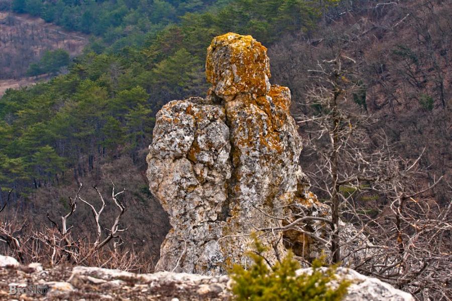 Тургенєвка з panoramio.com - Тургенєвка