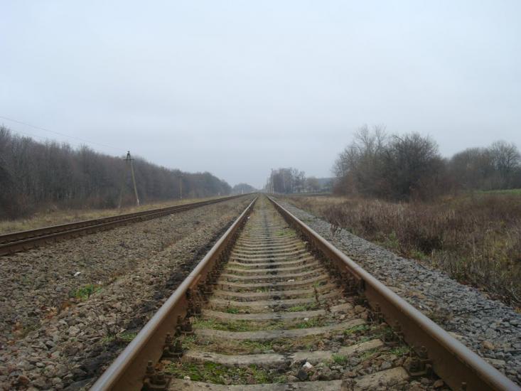 Воронківці з panoramio.com - Воронковцы