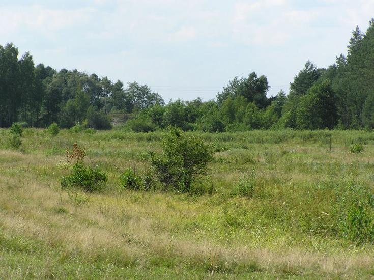 Бондарівка з panoramio.com - Бондаревка