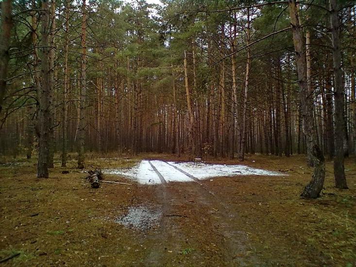 Лютіж з panoramio.com - Lyutizh