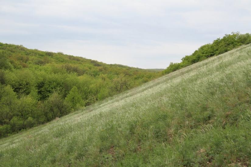 Новоайдар з panoramio.com - Новоайдар