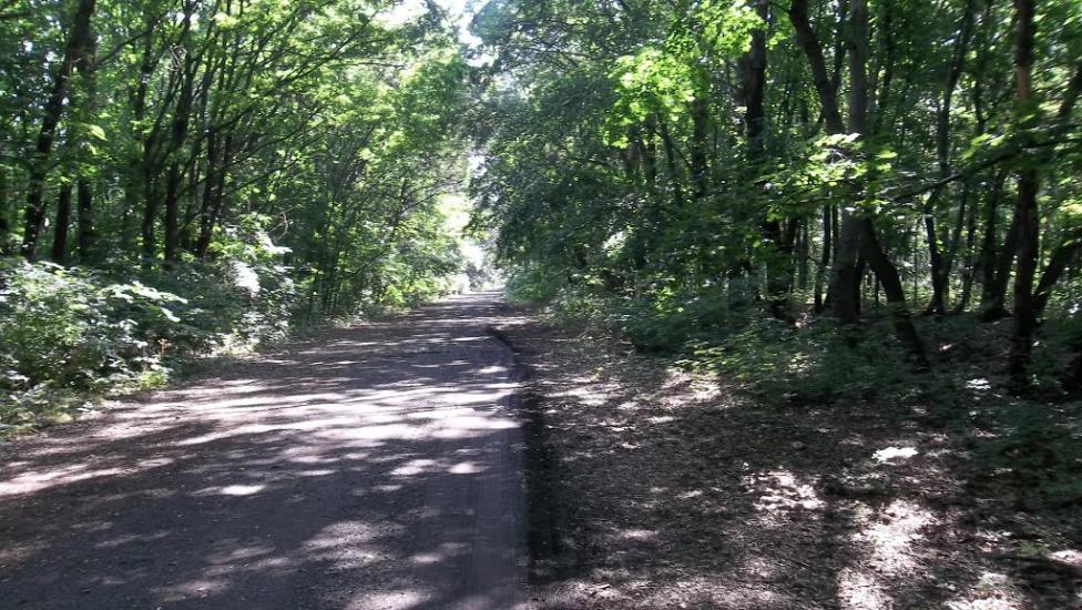 Федорівка з panoramio.com - Федоровка