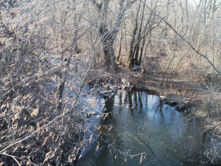 Куна з panoramio.com - Куна