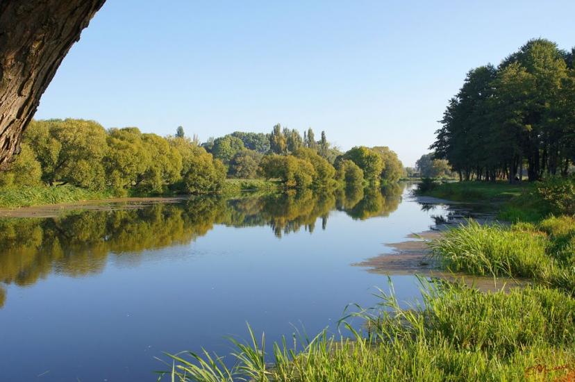Баранівка з panoramio.com - Baranivka
