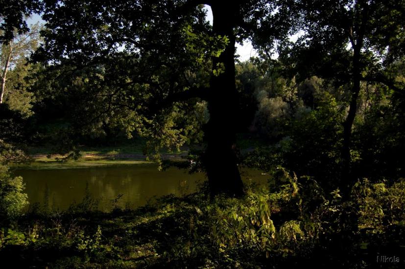 Привілля з panoramio.com - Pryvillya