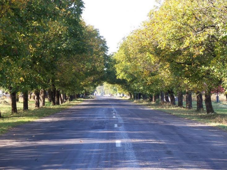 Монастирець з panoramio.com - Монастирець