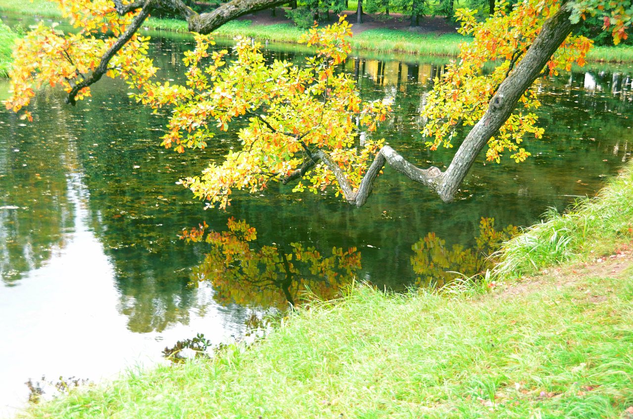 село. Миролюбивка - Миролюбівка
