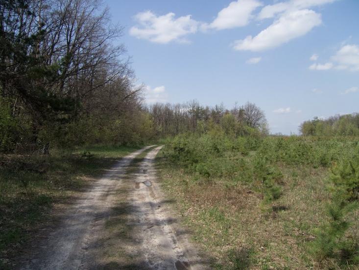 Петрівське з panoramio.com - Петрівське