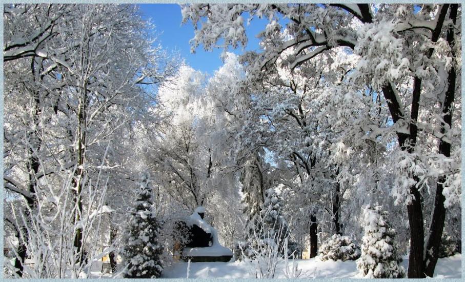 Букачівці з panoramio.com - Букачевцы