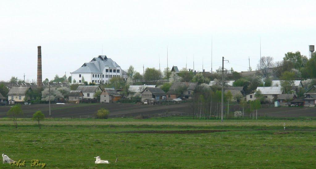 Шумськ з panoramio.com - Shumsk