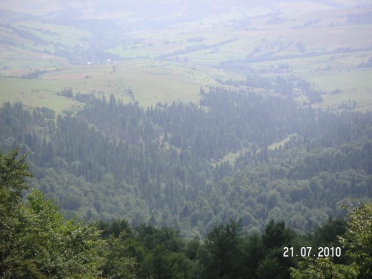 Карпатське з panoramio.com - Карпатське